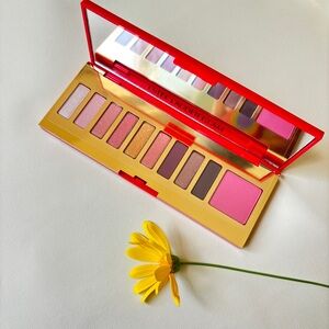 ESTEE LAUDER PURE COLOR ENVY Eye and Cheek Palette Glam  0.15oz/5.4g！